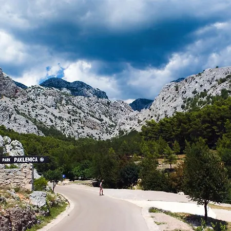 In Starigrad-paklenica 6819