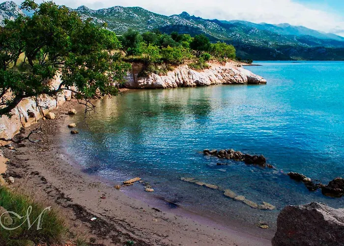 In Starigrad-paklenica 6819