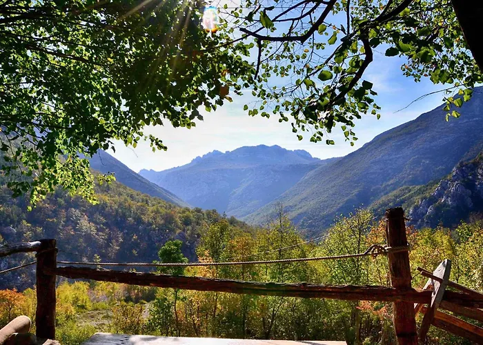 In Starigrad-paklenica 6819